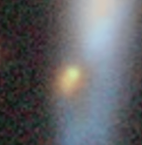 1000007013