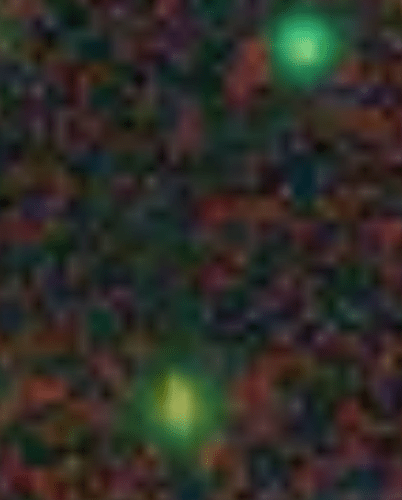 Screenshot_20260912-234521